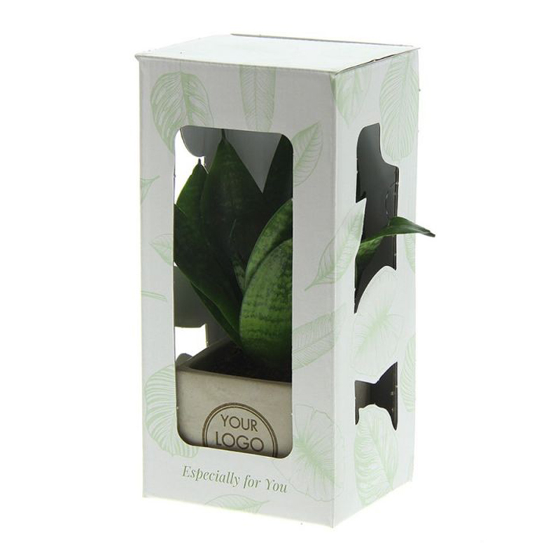 Plante dans un pot en béton - image 3